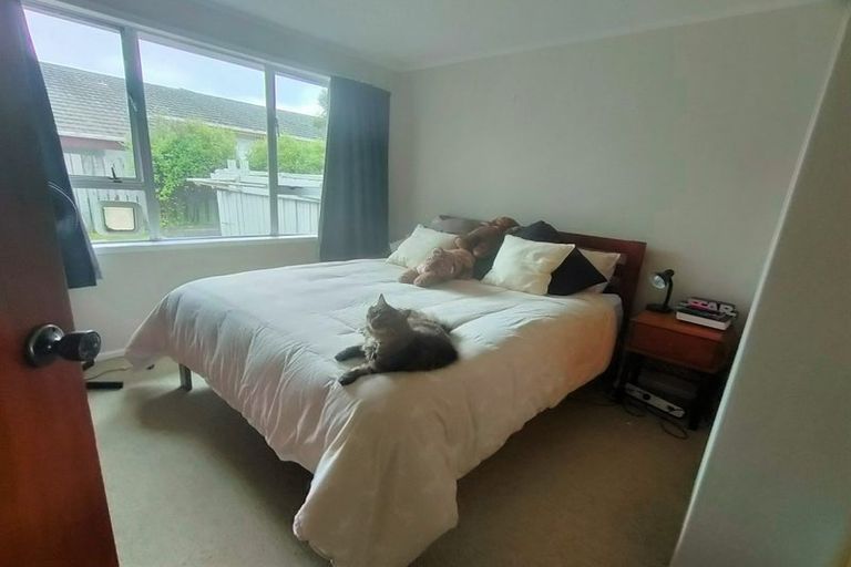 Photo of property in 175f1 Mitchell Street, Brooklyn, Wellington, 6021