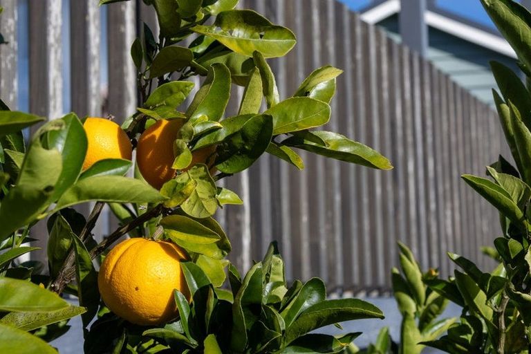 Photo of property in 54 Rayner Road, Huntly, 3700