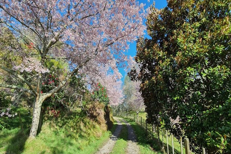 Photo of property in 57 Mervyn Place, Ohauiti, Tauranga, 3112