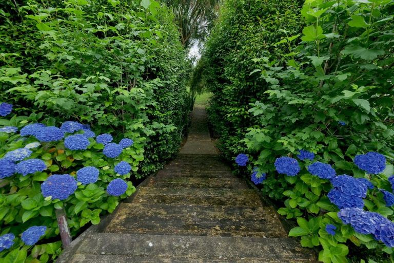 Photo of property in 47 Lloyd Road, Riverhead, Albany, 0793