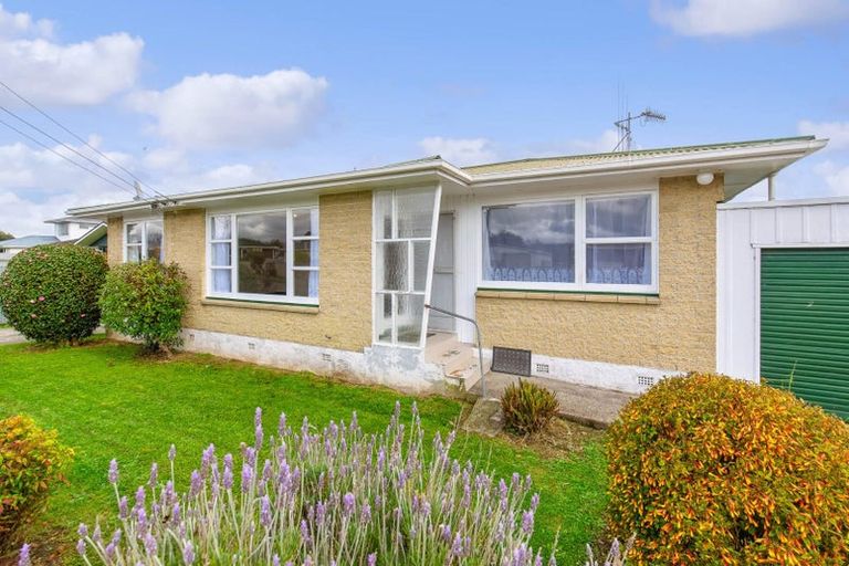 Photo of property in 17 John Street, Levin, 5510