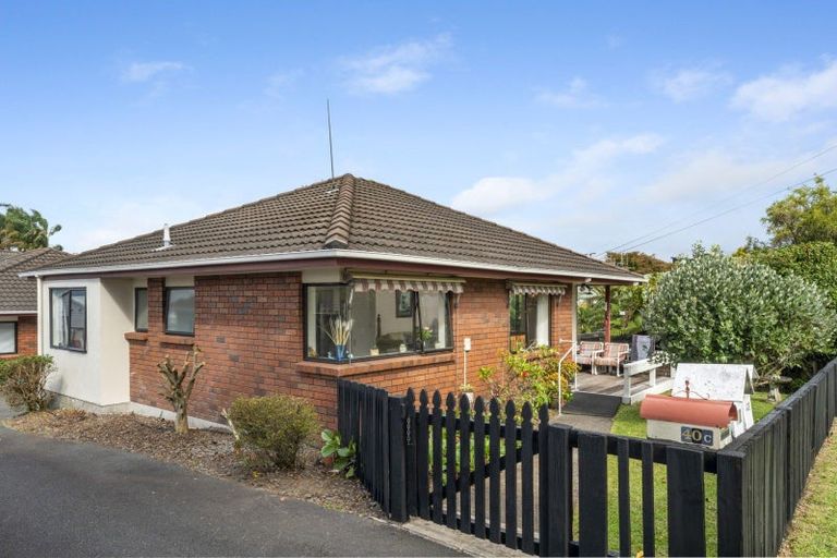 Photo of property in 40a Hynds Road, Gate Pa, Tauranga, 3112