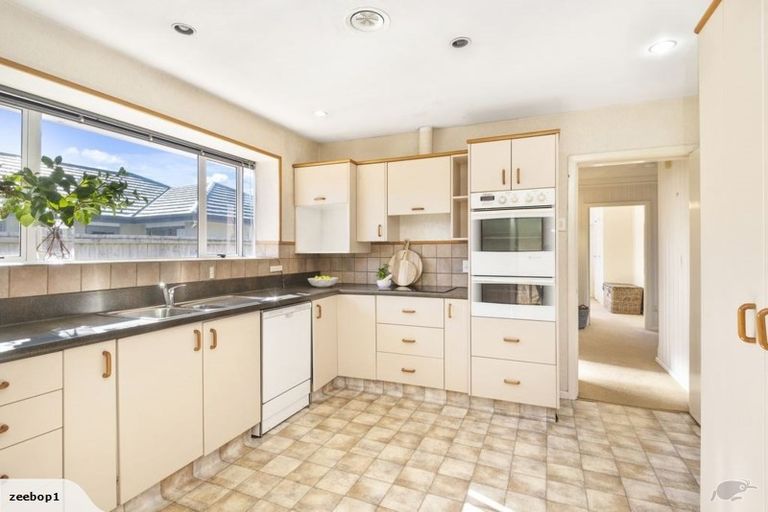 Photo of property in 117 Mays Road, St Albans, Christchurch, 8052