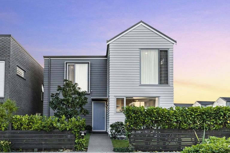 Photo of property in 38 Wallace Road, Hobsonville, Auckland, 0616
