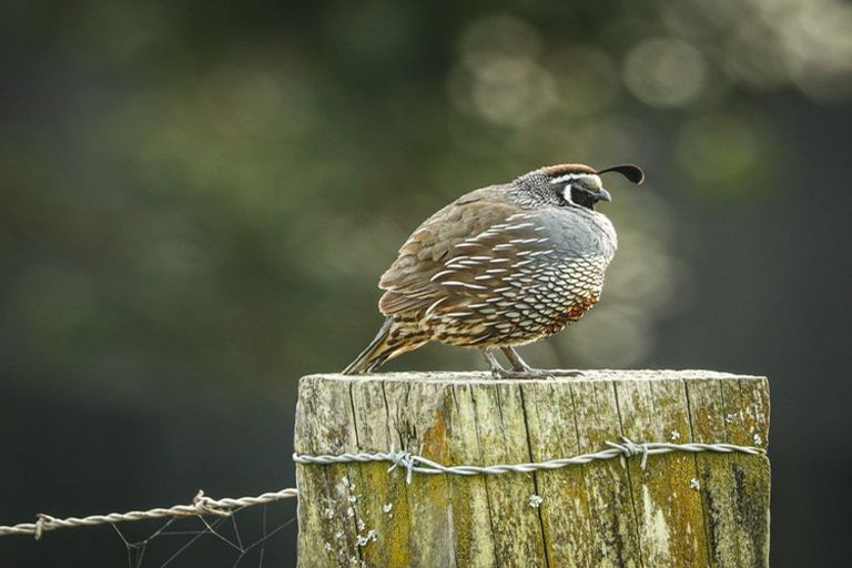 Photo of property in 103 Wharekaho Sh25 Road, Wharekaho, Whitianga, 3592