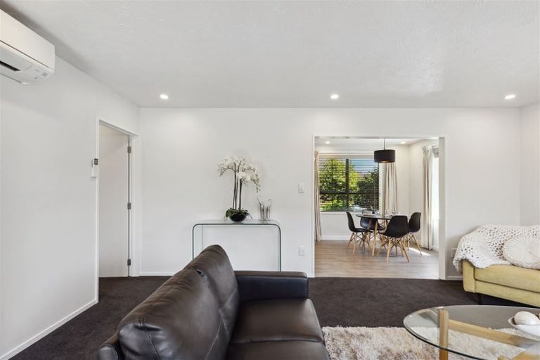 Photo of property in 58 Palatine Terrace, Saint Martins, Christchurch, 8022