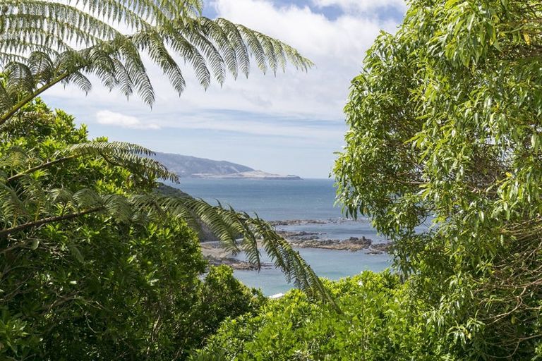 Photo of property in 177 Buckley Road, Southgate, Wellington, 6023