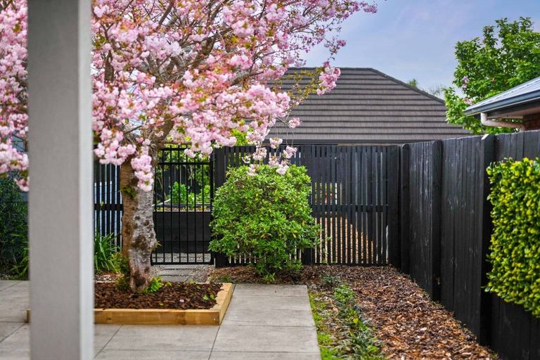 Photo of property in 21 Norfolk Drive, Cambridge, 3434