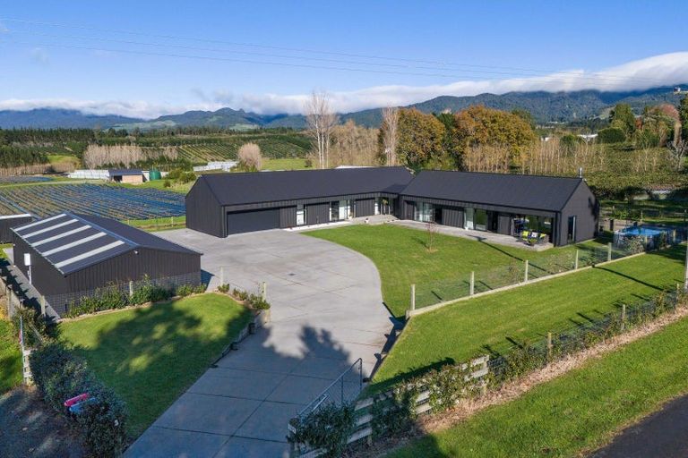 Photo of property in 169 Busby Road, Tahawai, Katikati, 3170
