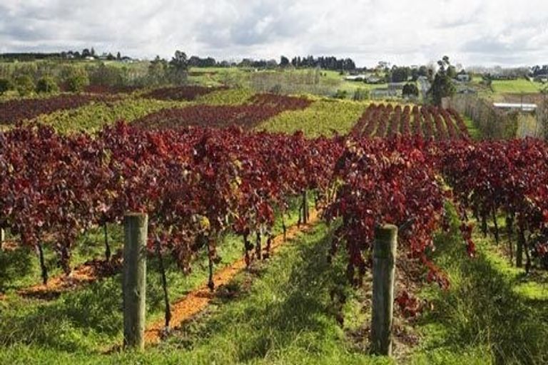 Photo of property in 23 Matau Close, Te Kauwhata, 3710