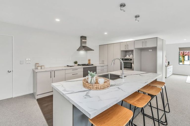 Photo of property in 51 Renoir Drive, Rolleston, 7614