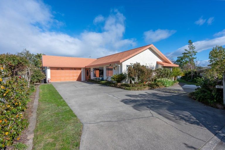 Photo of property in 527c Main North Road, Bay View, Napier, 4104