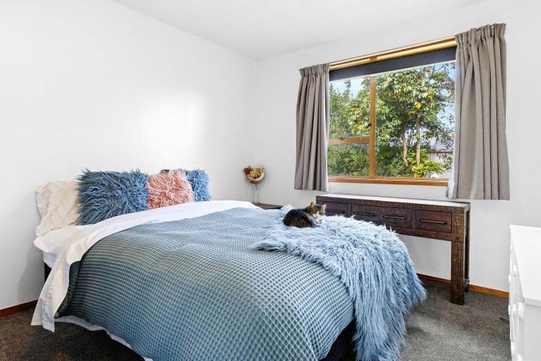 Photo of property in 36 Whakaipo Avenue, Taupo, 3330