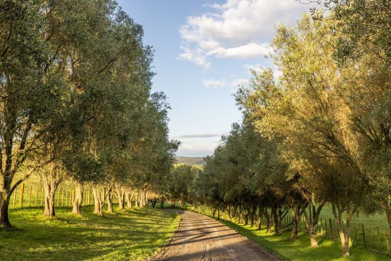 Photo of property in 660 Omarunui Road, Puketapu, Napier, 4183