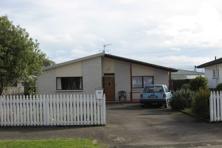 Photo of property in 14 Bunny Street, Masterton, 5810