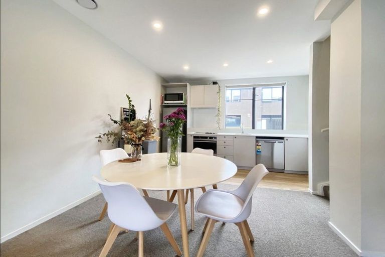 Photo of property in Aniva Terrace, 14 Ferguson Street, Newtown, Wellington, 6021