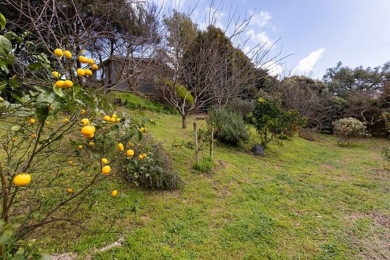 Photo of property in 13b Tieko Street, Otaihanga, Paraparaumu, 5036