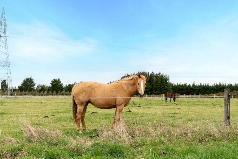 Photo of property in 664 Depot Road, Burnt Hill, Oxford, 7495