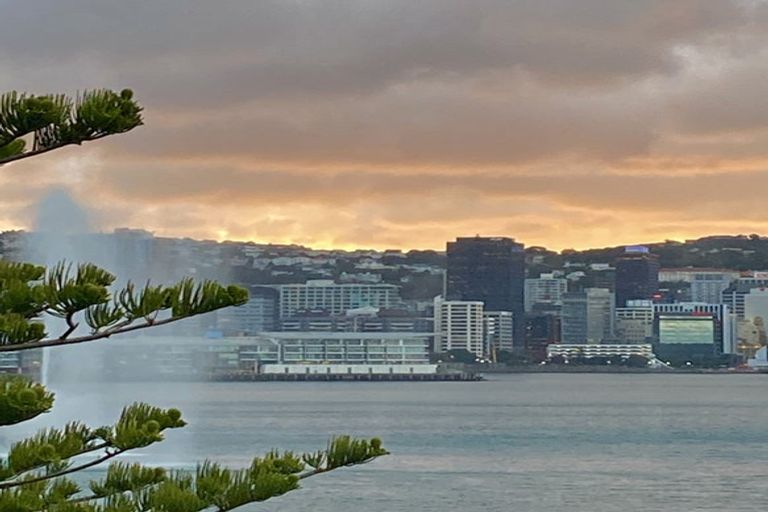 Photo of property in Inverleith Apartments, 306u3 Oriental Parade, Oriental Bay, Wellington, 6011
