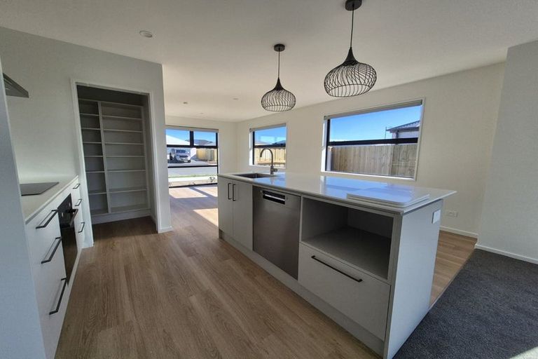 Photo of property in 19 Larch Drive, Rolleston, 7614