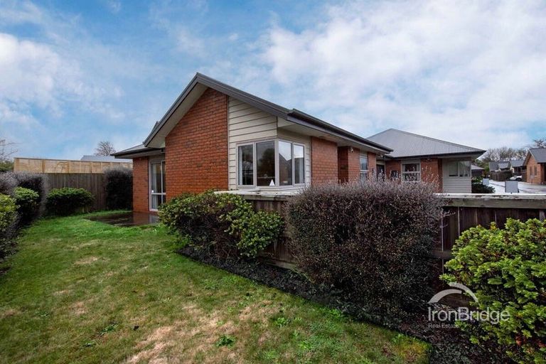 Photo of property in 26a Collins Street, Addington, Christchurch, 8024