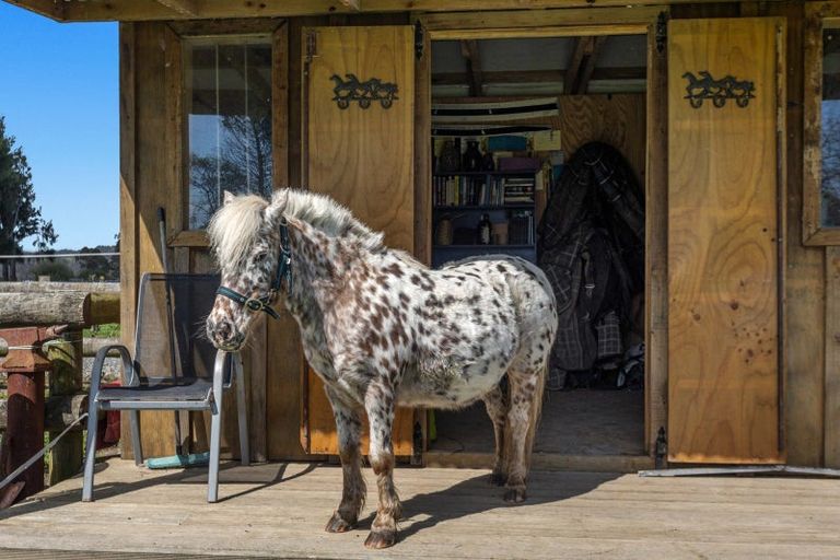 Photo of property in 314 Te Rahu Road, Poroporo, Whakatane, 3193