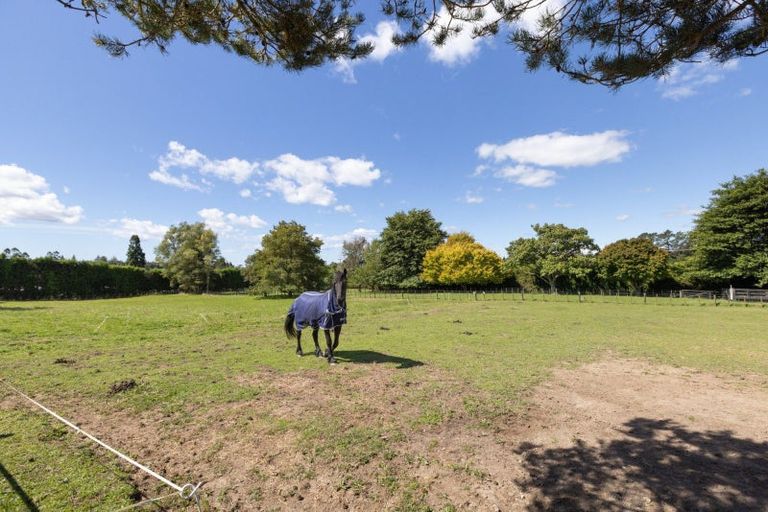 Photo of property in 1280 Omanawa Road, Omanawa, Tauranga, 3171