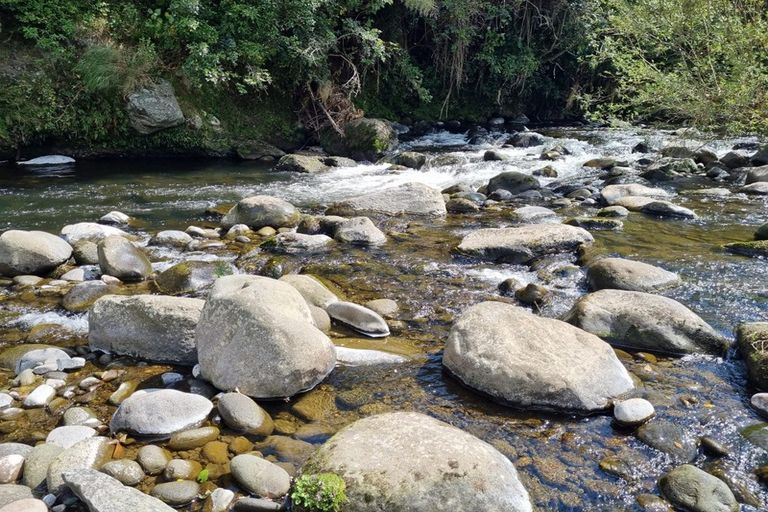 Photo of property in 218 Tarata Road, Inglewood, 4387