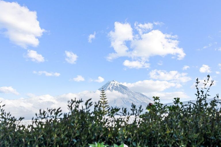 Photo of property in 12 Barclay Street, Ferndale, New Plymouth, 4310