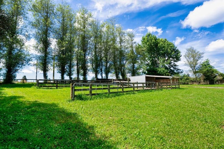 Photo of property in 1080 Omanawa Road, Omanawa, Tauranga, 3171