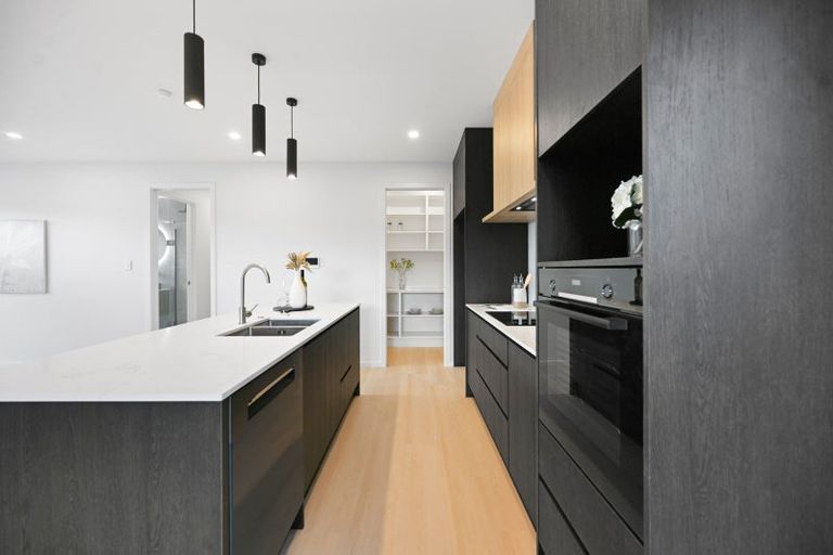 Photo of property in 17 Auburn Green, Peacocke, Hamilton, 3206