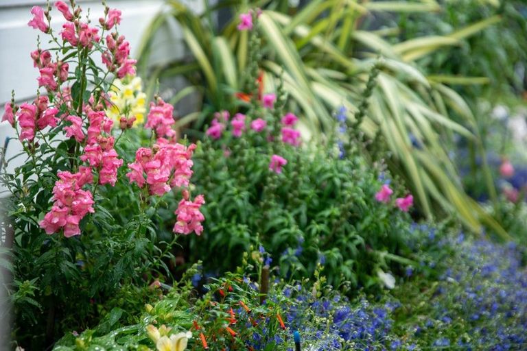 Photo of property in 12 Emmett Street, Newtown, Wellington, 6021