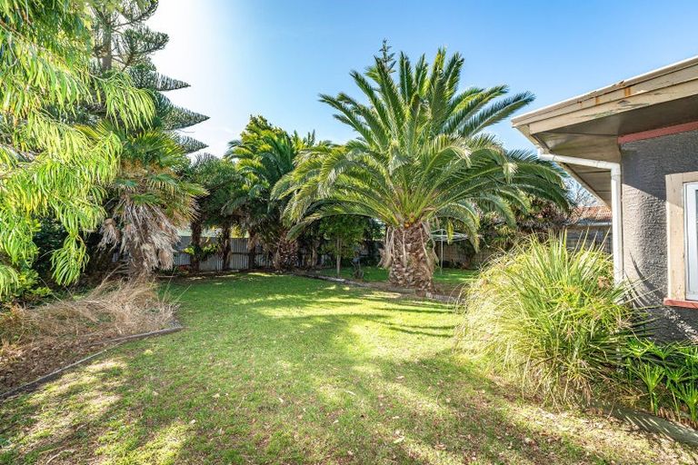 Photo of property in 100 Puriri Street, Gonville, Wanganui, 4501
