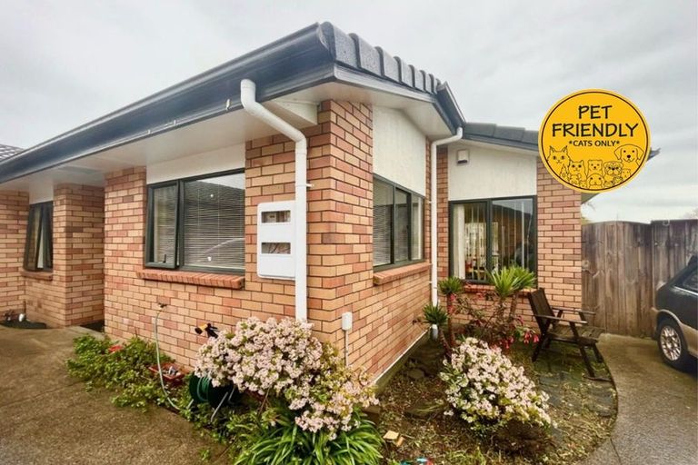 Photo of property in 25 Innisowen Place, Flat Bush, Auckland, 2019