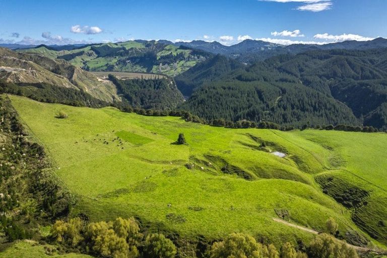 Photo of property in 888 Kakariki Farm Road, Kotemaori, 4188