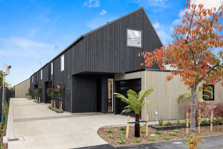 Photo of property in 31b Allard Street, Edgeware, Christchurch, 8013