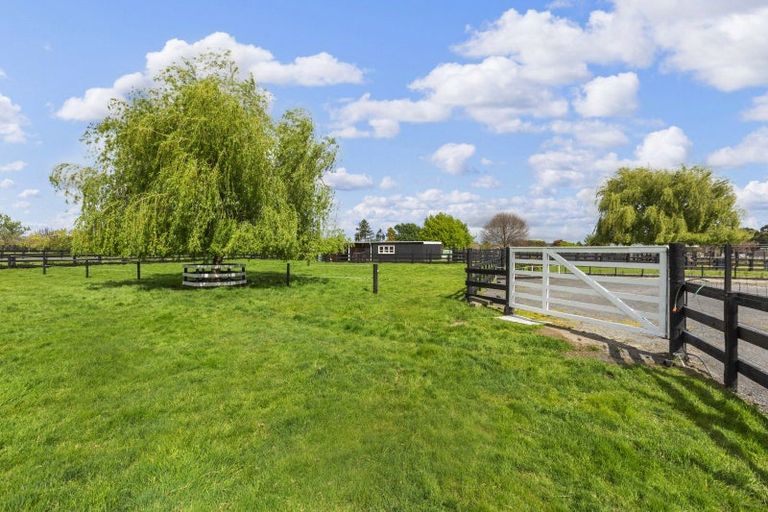 Photo of property in 127 Peake Road, Cambridge, 3493