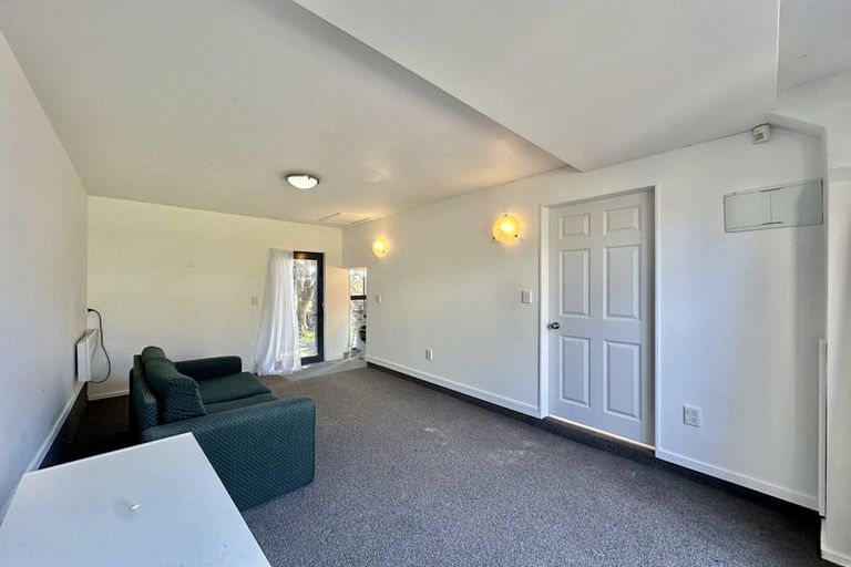 Photo of property in 22 Quebec Street, Kingston, Wellington, 6021