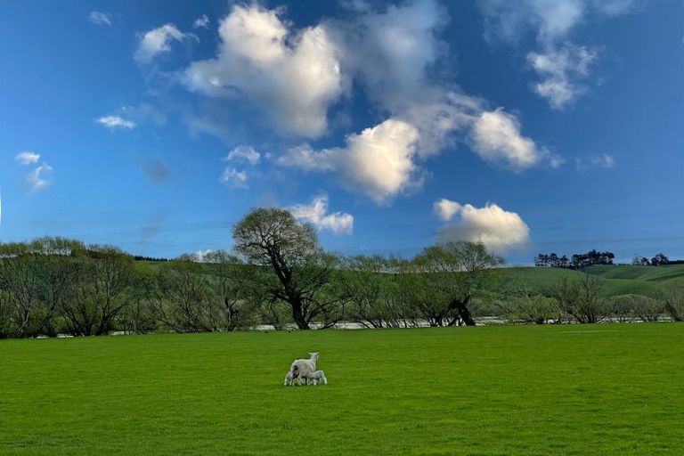 Photo of property in 47 Oopunga Road, Pukekohe, 2120