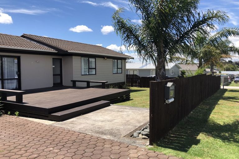 Photo of property in 45 Hooper Avenue, Pukekohe, 2120