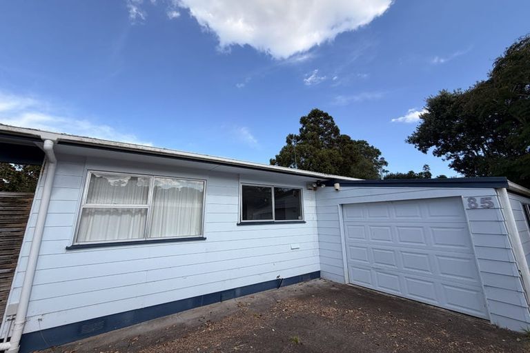 Photo of property in 85 Girrahween Drive, Totara Vale, Auckland, 0629