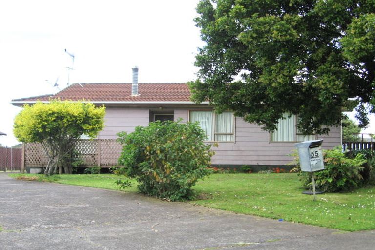 Photo of property in 55 Catkin Crescent, Papatoetoe, Auckland, 2025