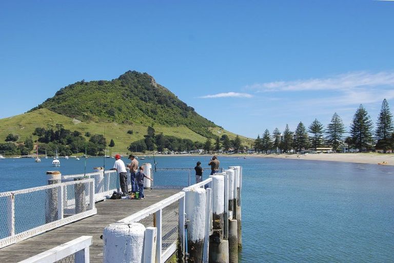 Photo of property in 12b Puriri Street, Mount Maunganui, 3116