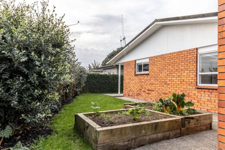 Photo of property in 203u2 Galloway Street, Hamilton East, Hamilton, 3216