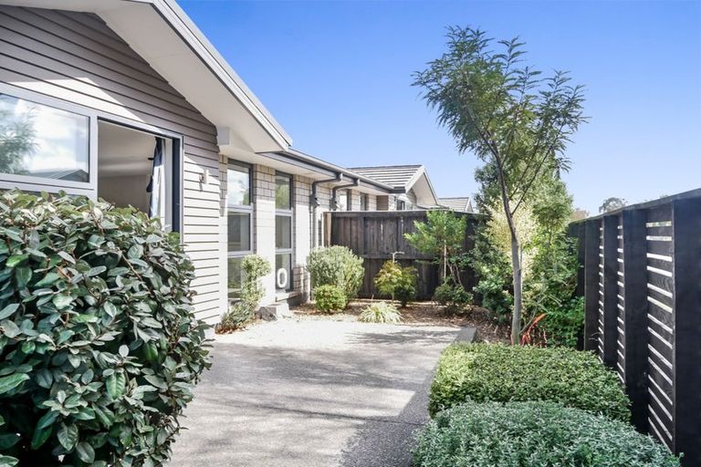 Photo of property in 53a Grafton Street, Waltham, Christchurch, 8011