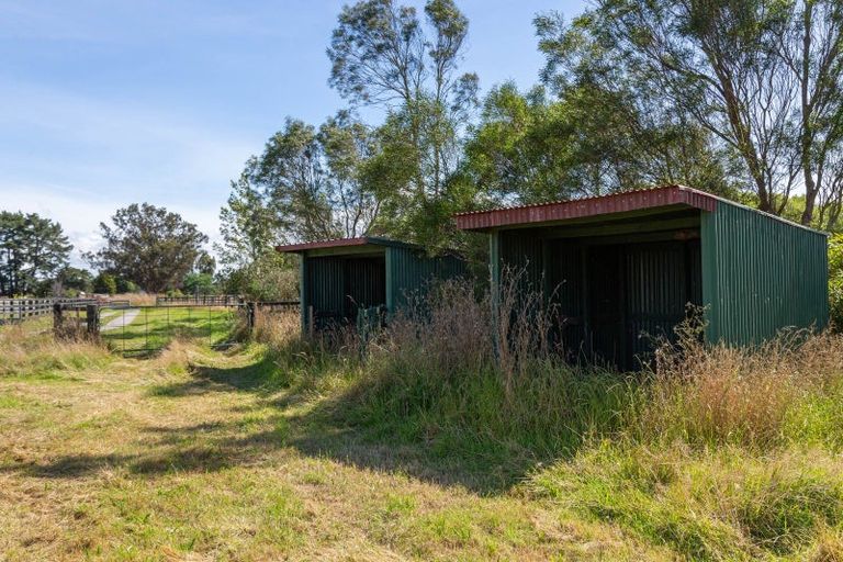 Photo of property in 25 Britton Avenue, Morison Bush, Greytown, 5794