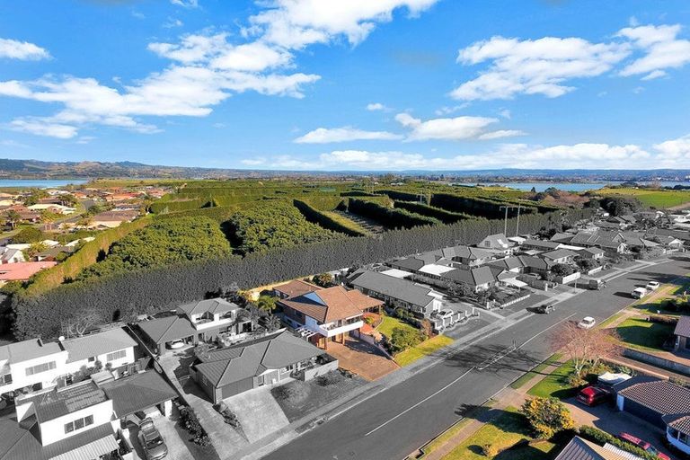 Photo of property in 34 Bayfair Drive, Mount Maunganui, 3116