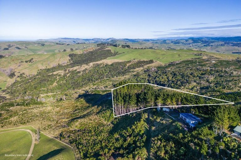 Photo of property in 1165c Cooks Tooth Road, Porangahau, 4293