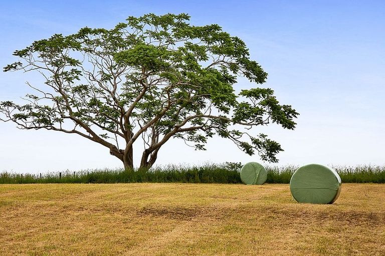 Photo of property in 242 Turuturu Road, Hawera, 4674