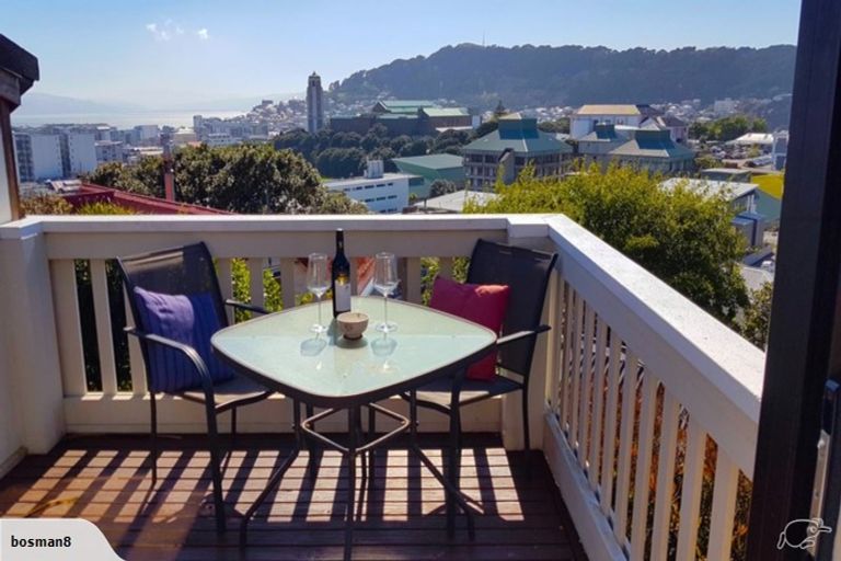 Photo of property in 53 Hankey Street, Mount Cook, Wellington, 6011